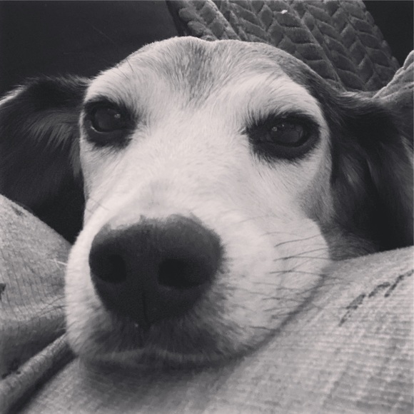 Meet your Posher, Jessica - Picture 10 of 12